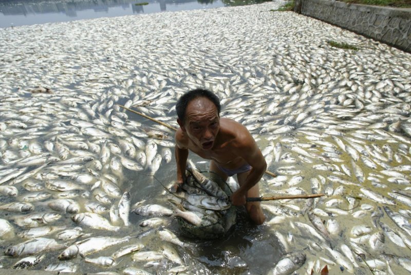 pollution-of-the-water-and-air-has-short-and-far-reaching-effects-here-we-see-dead-fish-in-a-lake-in-wuhan-fish-an-important-source-of-food-for-many-are-also-at-risk