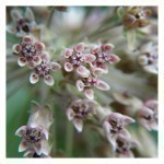 16 choses qu&rsquo;il ne faut pas acheter neuves 11