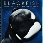 Telecharger Blackfish  VOSTFR BluRay 720p Gratuitement 1
