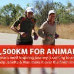 Cancer Survivor Janette Murray-Wakelin & partner Alan Murray Running Around Australia RunOz2013 – About RunRAW2013