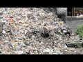 « Recycling » in Kathmandu – ecological disaster. « DIRTY « RIVER »