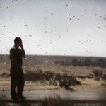 L&rsquo;homme, une espèce prédatrice sous-estimée 1