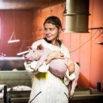 Le retour de « L’emmerdeuse » 1