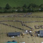 Zone A Défendre – Tritons crété-e-s contre béton armé