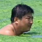 Chine: des algues vertes envahissent la plage de Qingdao | euronews, no comment 1