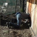 Poulailler collectif on Vimeo 1