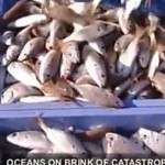 Rapports Alarmistes sur l&rsquo;état des Océans – Vidéo Dailymotion 1