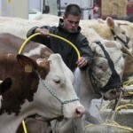 Les animaux d’élevage français gavés de soja OGM importé – LExpansion.com 1