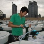 La spiruline : l&rsquo;algue qui pourrait remplacer la viande dans nos assiettes – RTL.fr 1