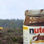 l-huile-de-palme-contenue-dans-le-nutella