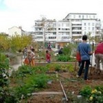 lapin-ouvrier-300×199