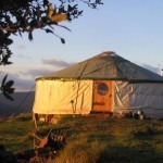 10303779_870119469671127_1199425820832679258_n