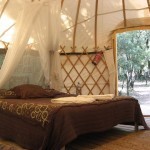 10344316_870119459671128_3520336868961285268_o