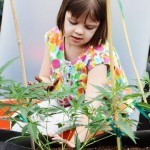 une-petite-fille-de-3-ans-est-sauvee-de-ses-violentes-crises-depilepsie-grace-au-cannabis8