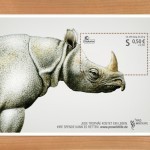 Pro-Wildlife-Rhino-1024×723