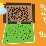 bandeau-oeuf-code-1-et-0-plein-air-et-bio