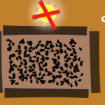 bandeau-oeuf-code-2-au-sol