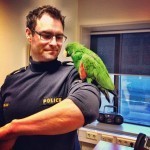 policiers-en-islande-interroger-les-perroquets