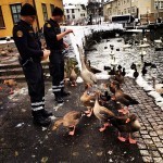 policiers-en-islande-nourrir-les-canards