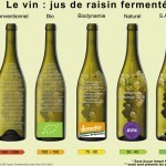 vins_sains_min3