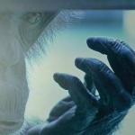 10347090_972111992805207_2160436413505485698_n.jpgohfcea8c5da710eba7bd875e97b3a1f471oe54F8D1EB__gda__1425324417_fa5db32dcf162d015378a16b09fbc0c8