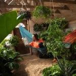 10819367_743911879007906_1898476693_o