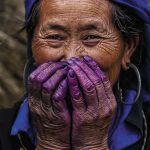 61dcae2594de20ab8a2c81724950f892