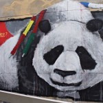 Michael-Beerens-corrida-01-511