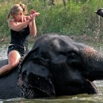 Riding-an-Elephant-in-Thailand-3