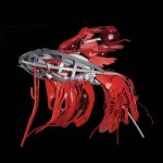 25_2004167_db16cadf086bbeb