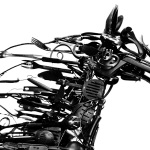 5034901350_40651a3b2b_o