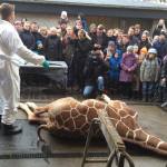 635459189780710152177815619757494414600n