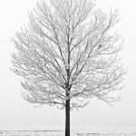 72cf9fedaaa21f5515cc37bd8380998c