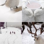 8392021218_ceb85e68a6_o