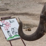 Painting-Elephant-Chiang-Mai-Thailand