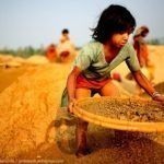 child-labour-18-810×540