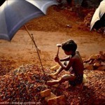 child-labour-51-810×542