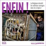 ob_3fa15f_995715-690721434276513-697196450-n-jpg