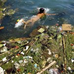 the-red-river-in-wenzhou-is-just-one-example-of-the-water-pollution-that-has-been-running-rampant-in-china-for-years-some-in-very-striking-ways