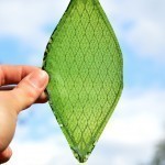 Silk-Leaf-by-Julian-Melchiorri_dezeen_01_1288