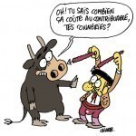 charb_actu