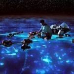 LOP-068    Pi Patel takes in the bioluminescent wonders of the sea.