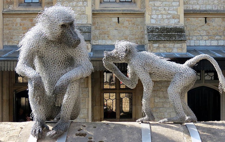 Baboons (chicken wire sculpture)