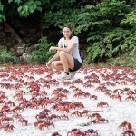 Migrating-red-crabs-in-Christmas-Island-Australia-MAIN