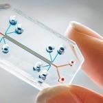 organs-on-a-chip-microfluidics