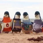 penguin-foundation-phillip-island