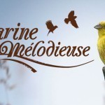 site_web_Farine-Melodieuse