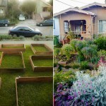 01-lawn-garden-transformation