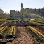 13_vancouver-compost-garden