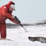 2011-02-24-10-21-06-sealhunt